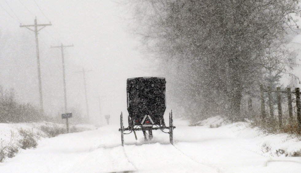 Amish Buggy in Snow